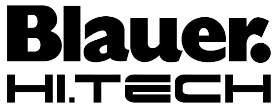 Blauer Logo