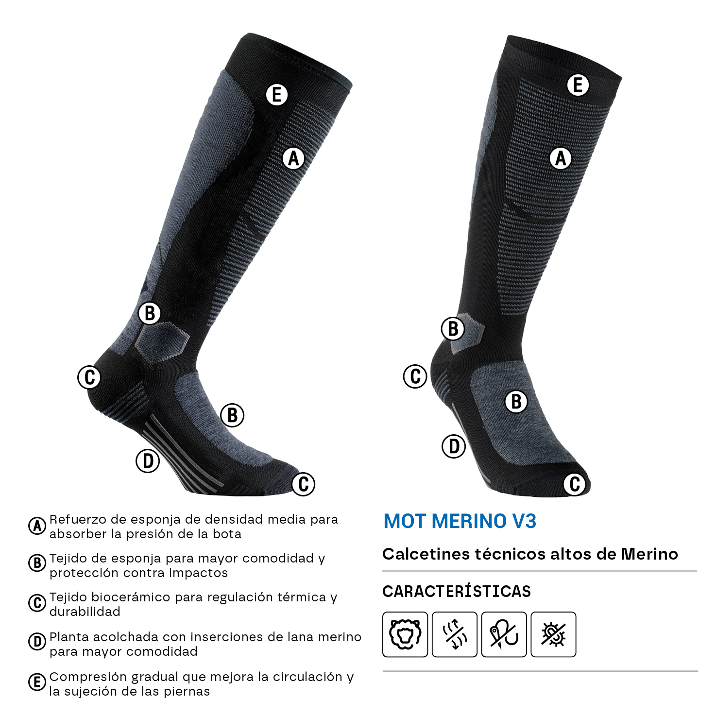 SIXS Mot Merino V3 detalles