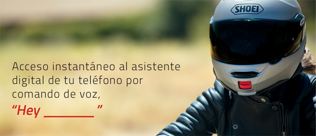 Comandos de voz SRL Mesh